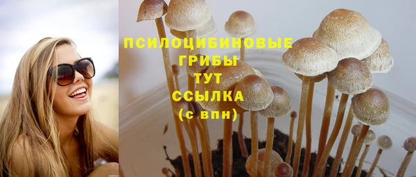 тгк Алексеевка
