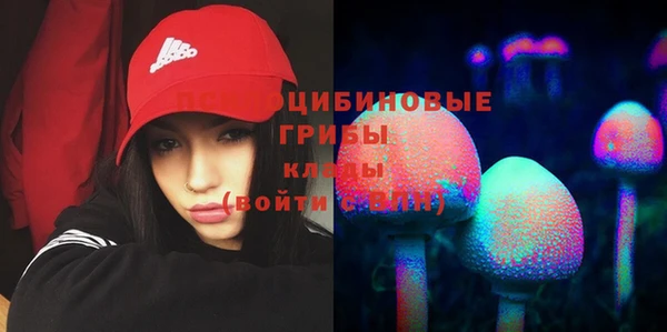 мяу мяу мука Алзамай
