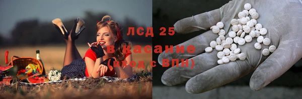 мяу мяу мука Алзамай