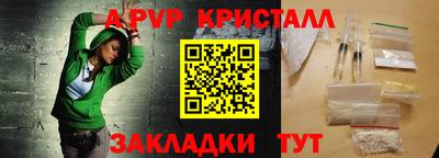 крисы Моздок