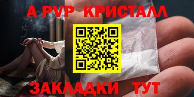 крисы Моздок