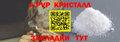 крисы Моздок