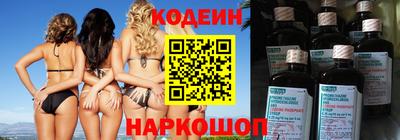 крисы Моздок