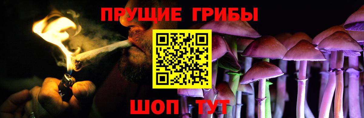 Псилоцибиновые грибы MAGIC MUSHROOMS Электрогорск