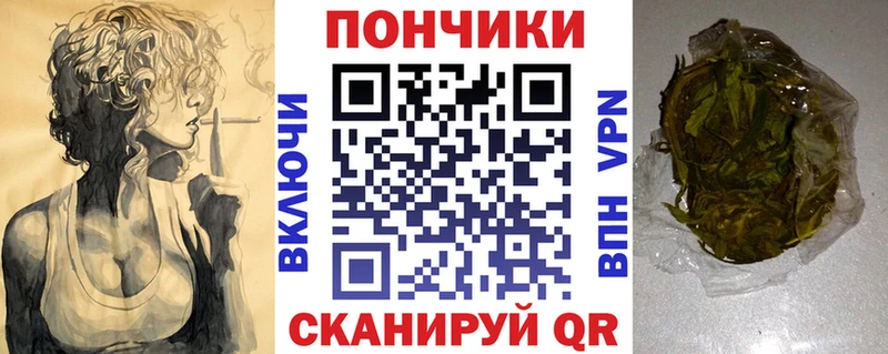 как найти закладки  Электрогорск  Шишки марихуана семена 